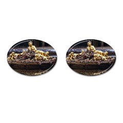 Palace Of Versailles 3 Cufflinks (oval) by trendistuff