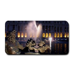 Palace Of Versailles 2 Medium Bar Mats