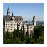 NEUSCHWANSTEIN CASTLE 2 Medium Glasses Cloth Front