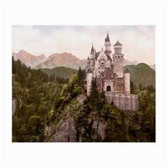 Neuschwanstein Castle Small Glasses Cloth by trendistuff