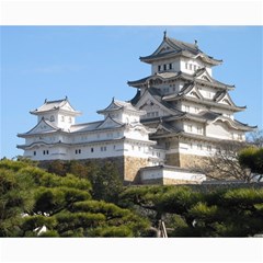 Himeji Castle Collage 8  X 10  by trendistuff