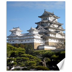 Himeji Castle Canvas 20  X 24  