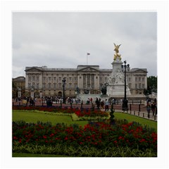 Buckingham Palace Medium Glasses Cloth by trendistuff