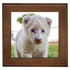 White Lion Cub Framed Tiles by trendistuff