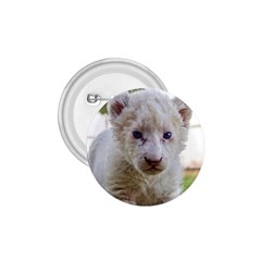 White Lion Cub 1 75  Buttons by trendistuff