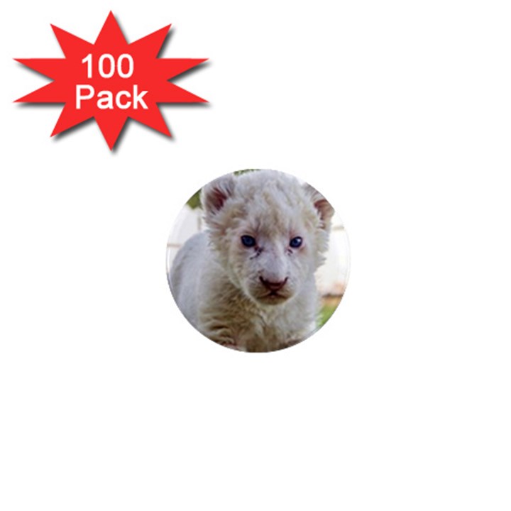 WHITE LION CUB 1  Mini Magnets (100 pack) 