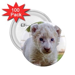 White Lion Cub 2 25  Buttons (100 Pack)  by trendistuff