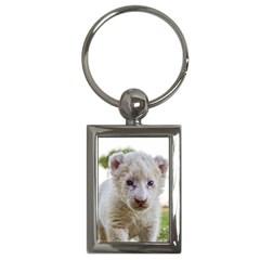 White Lion Cub Key Chains (rectangle)  by trendistuff