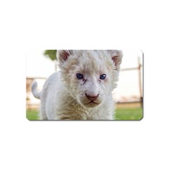 White Lion Cub Magnet (name Card) by trendistuff