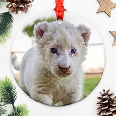 White Lion Cub Round Ornament (two Sides)  by trendistuff