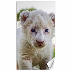 White Lion Cub Canvas 40  X 72  