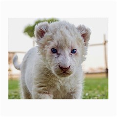 White Lion Cub Small Glasses Cloth (2-side) by trendistuff