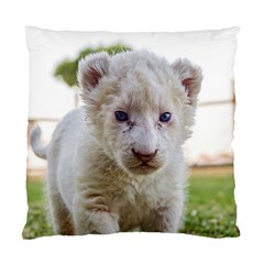 White Lion Cub Standard Cushion Cases (two Sides)  by trendistuff