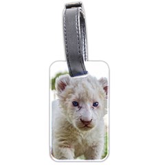 White Lion Cub Luggage Tags (two Sides) by trendistuff