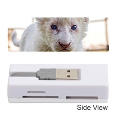 White Lion Cub Memory Card Reader (stick) 