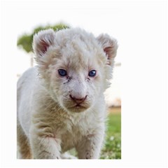 White Lion Cub Small Garden Flag (two Sides)