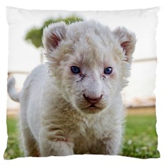 White Lion Cub Large Cushion Cases (two Sides)  by trendistuff