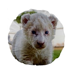 White Lion Cub Standard 15  Premium Round Cushions by trendistuff