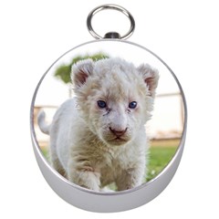 White Lion Cub Silver Compasses