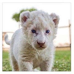 White Lion Cub Large Satin Scarf (square)