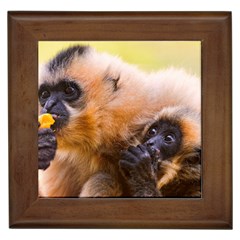 Two Monkeys Framed Tiles by trendistuff