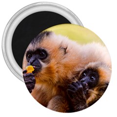 Two Monkeys 3  Magnets by trendistuff