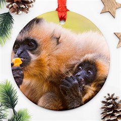 Two Monkeys Ornament (round)  by trendistuff