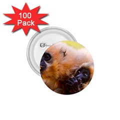 Two Monkeys 1 75  Buttons (100 Pack)  by trendistuff