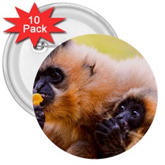 Two Monkeys 3  Buttons (10 Pack)  by trendistuff