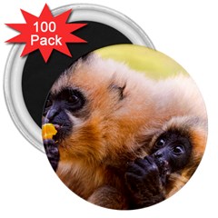 Two Monkeys 3  Magnets (100 Pack) by trendistuff