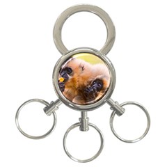 Two Monkeys 3-ring Key Chains by trendistuff