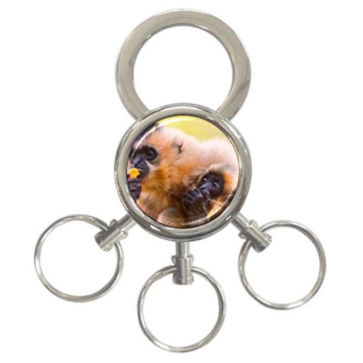 TWO MONKEYS 3-Ring Key Chains