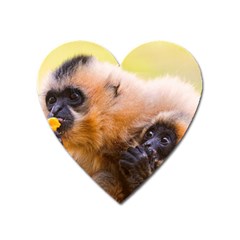 Two Monkeys Heart Magnet by trendistuff