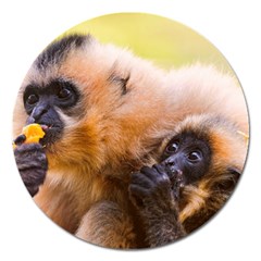 Two Monkeys Magnet 5  (round) by trendistuff