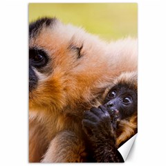 Two Monkeys Canvas 12  X 18  