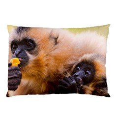 Two Monkeys Pillow Cases