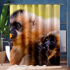 Two Monkeys Shower Curtain 60  X 72  (medium) 