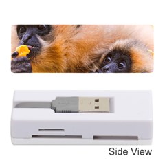 Two Monkeys Memory Card Reader (stick) 