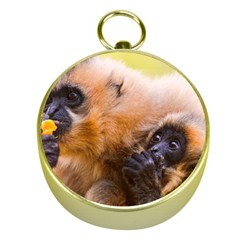 Two Monkeys Gold Compasses by trendistuff