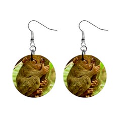 Tarsier Mini Button Earrings by trendistuff