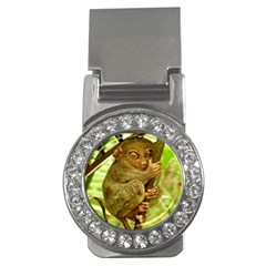 Tarsier Money Clips (cz)  by trendistuff