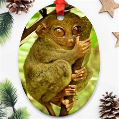 Tarsier Oval Ornament (two Sides) by trendistuff