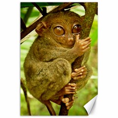 Tarsier Canvas 12  X 18   by trendistuff