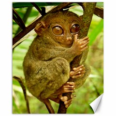 Tarsier Canvas 16  X 20  