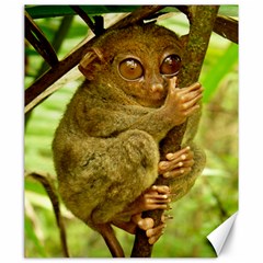 Tarsier Canvas 20  X 24   by trendistuff