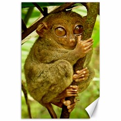 Tarsier Canvas 24  X 36  by trendistuff