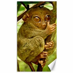 Tarsier Canvas 40  X 72  