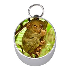 Tarsier Mini Silver Compasses