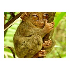 Tarsier Double Sided Flano Blanket (mini) 