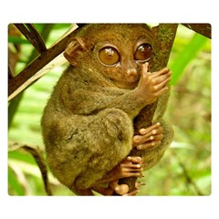 Tarsier Double Sided Flano Blanket (small) 